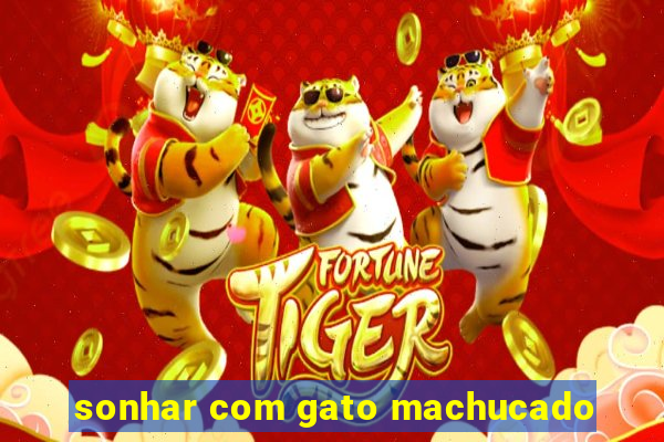 sonhar com gato machucado